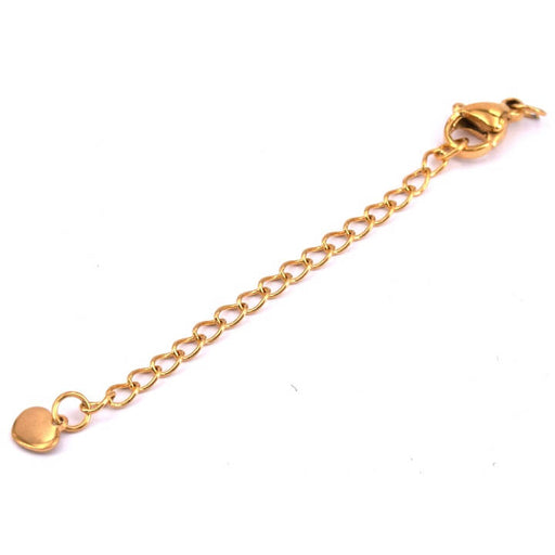 Kaufen Sie Perlen in Deutschland Karabinerverschluss und Herz-Verlängerungskette 5 cm goldener Edelstahl (1)