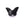 Perlengroßhändler in Deutschland Geschnitzter Schmetterlingsanhänger aus schwarzem Achat 17 x 16.5 mm – Loch: 1 mm (1)