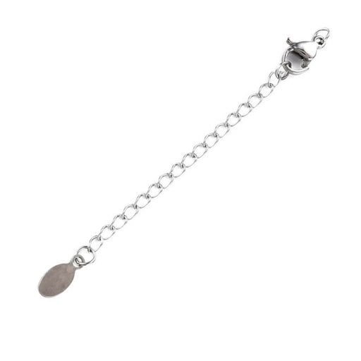 Kaufen Sie Perlen in Deutschland Verlängerungskette und Karabinerverschluss - 5 cm Edelstahl (1)