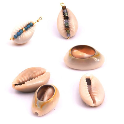 Kaufen Sie Perlen in Deutschland Kauri Schale für Charms und Schmuck. Hinten geschnitten 17-20mm (10)