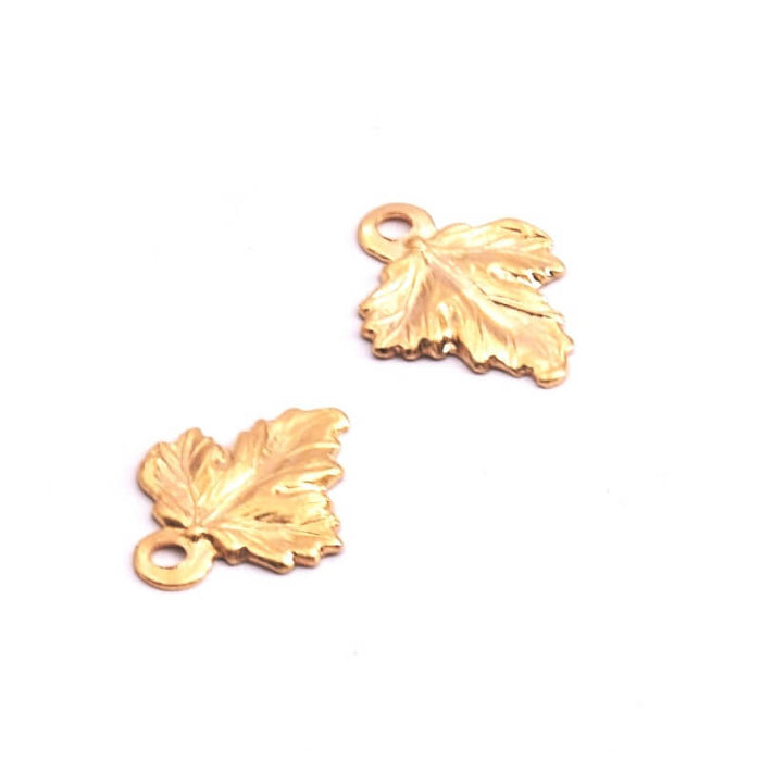 Mini-Anhänger Gold Filled Blatt 10x8mm (2)