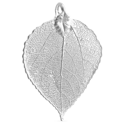 Anhänger Espenblatt - echtes Naturblatt galvanisiert mit Sterling Silber 50mm (1)