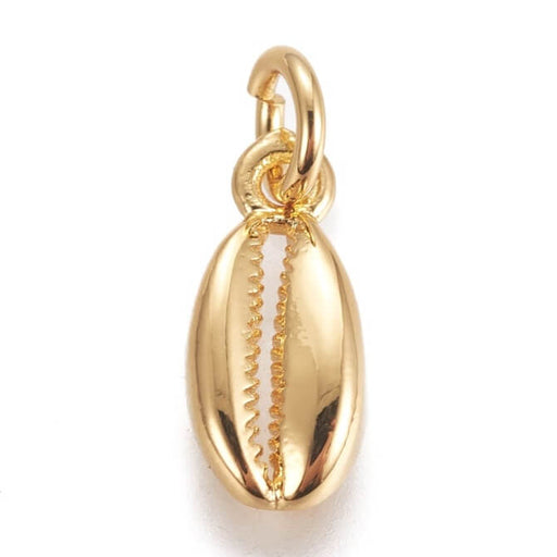 Kaufen Sie Perlen in Deutschland Kauri, Anhänger, GOLD Messing, 11mm mit Ring (1)