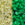 Perlengroßhändler in Deutschland cc2721 - Toho Rocailles Perlen 11/0 Glow in the dark yellow/bright green (10g)