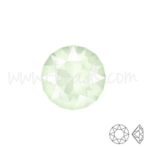 Kaufen Sie Perlen in Deutschland Swarovski 1088 xirius chaton crystal powder green 6mm-ss29 (6)