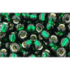 cc36 - Toho rocailles perlen 6/0 silver lined green emerald (10g)