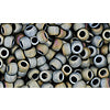Kaufen Sie Perlen in Deutschland cc613 - Toho rocailles perlen 8/0 matt colour iris grey (10g)