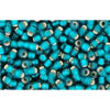 cc27bdf - Toho rocailles perlen 11/0 silver lined frosted teal (10g)