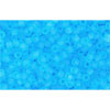 cc3f - Toho rocailles perlen 15/0 transparent frosted aquamarine (5g)
