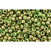 cc1702 - Toho rocailles perlen 11/0 gilded marble green (10g)
