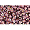 Kaufen Sie Perlen in Deutschland ccPF2114 - Toho rocailles 8/0 silver lined milky nutmeg (10g)