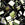 Perlen Einzelhandel Cc458 - miyuki tila perlen brown iris 5mm (25)
