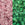 Perlengroßhändler in Deutschland cc2720 - Toho Rocailles Perlen 11/0 Glow in the dark pink/yellow green (10g)