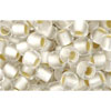 Kaufen Sie Perlen in Deutschland cc21f - Toho rocailles perlen 6/0 silver lined frosted crystal (10g)