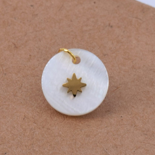 Kaufen Sie Perlen in Deutschland Runder Anhänger Muschel mit goldenem Edelstahlstern 13mm (1)