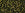 Perlen Einzelhandel cc422 - Toho treasure perlen 11/0 Dark Chocolate Bronze Gold Luster(5g)