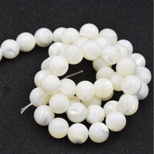 Runde Perle naturweiße Muschel 8mm (1 Strang - 38cm)