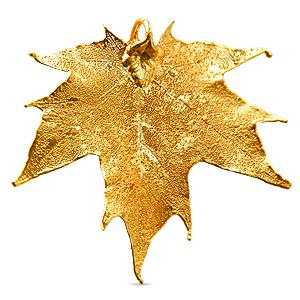 Anhänger Ahornblatt - echtes Naturblatt galvanisiert mit 24k Gold 60mm (1)