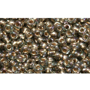 Kaufen Sie Perlen in Deutschland cc999 - Toho rocailles perlen 11/0 gold lined rainbow black diamond (10g)