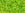 Perlen Einzelhandel cc4 - Toho rocailles perlen 8/0 transparent lime green (10g)