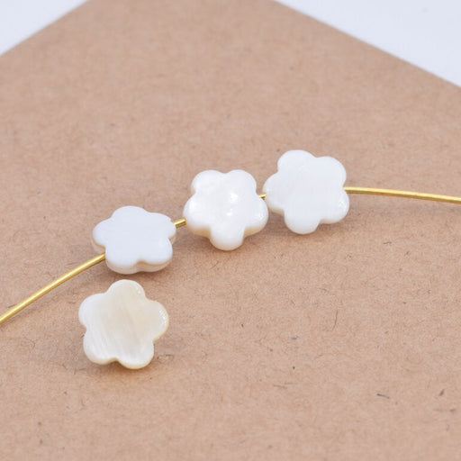 Kaufen Sie Perlen in Deutschland Natürliche weiße Muschel Blumenperlen 8x2.5mm - Loch: 0.8mm (4)