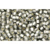 Kaufen Sie Perlen in Deutschland cc29af - Toho rocailles perlen 11/0 silver lined frosted black diamond (10g)