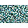 Kaufen Sie Perlen in Deutschland cc995 - Toho rocailles perlen 11/0 gold lined rainbow aqua (10g)