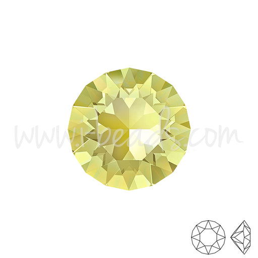 Kaufen Sie Perlen in Deutschland Swarovski 1088 xirius chaton jonquil 6mm-SS29 (6)