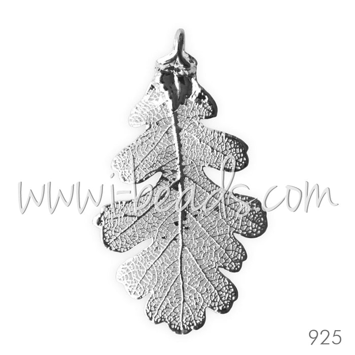 Anhänger Eichenblatt - echtes Naturblatt galvanisiert mit Sterling Silber 50mm (1)