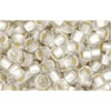 Kaufen Sie Perlen in Deutschland cc21f - Toho rocailles perlen 8/0 silver lined frosted crystal (10g)