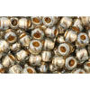 cc993 - Toho rocailles perlen 6/0 gold lined black diamond (10g)