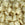 Perlengroßhändler in Deutschland Cc2021 - miyuki tila perlen mat cream 5mm (25 beads)