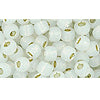 Kaufen Sie Perlen in Deutschland cc2100 - Toho rocailles perlen 6/0 silver-lined milky white (10g)
