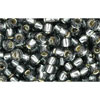 Kaufen Sie Perlen in Deutschland Cc29b - Toho rocailles perlen 8/0 silver-lined grey (250g)
