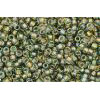 cc271 - Toho rocailles perlen 15/0 gold lined luster black diamond (5g)