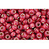 Kaufen Sie Perlen in Deutschland cc2113 - Toho rocailles 8/0 silver lined milky pomegranate (10g)