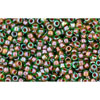 cc249 - Toho rocailles perlen 15/0 inside colour peridot/emerald lined (5g)