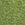 Perlen Einzelhandel DB1135 - 11/0 OPAQUE AVOCADO- 1,6mm - Hole : 0,8mm (5gr)