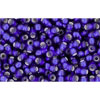 Kaufen Sie Perlen in Deutschland cc28df - Toho rocailles perlen 11/0 silver lined frosted cobalt(10g)