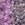 Perlen Einzelhandel cc2724 - Toho Rocailles Perlen 11/0 Glow in the dark dark pink/green pink (10g)