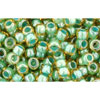 cc380 - Toho rocailles perlen 8/0 topaz/mint julep lined (10g)