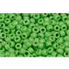 cc47 - Toho rocailles perlen 11/0 opaque mint green (10g)