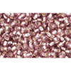 Kaufen Sie Perlen in Deutschland cc26 - Toho rocailles perlen 11/0 silver lined light amethyst (10g)