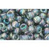 cc176 - Toho rocailles perlen 6/0 transparent rainbow black diamond (10g)