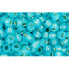 Kaufen Sie Perlen in Deutschland cc2117 - Toho rocailles 8/0 silver lined milky aqua (10g)