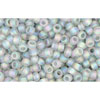 cc176af - Toho rocailles perlen 11/0 transparent rainbow frosted black diamond (10g)