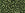 Perlen Einzelhandel cc333 - Toho perlen 11/0 gold lustered fern (10g)