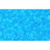 cc3f - Toho rocailles perlen 15/0 transparent frosted aquamarine (5g)