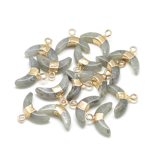 Kaufen Sie Perlen in Deutschland Labradorite Horn Anhänger, vergoldet 12mm lang, 16mm Breite (1)