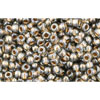 cc993 - Toho rocailles perlen 11/0 gold lined black diamond (10g)